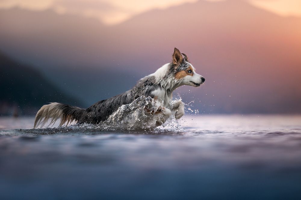 Photograph by Alessia Monaco