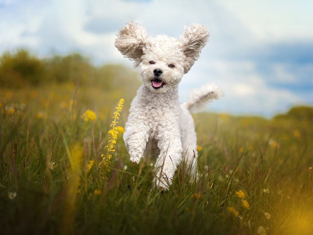 Photograph by Dorota Hnatová