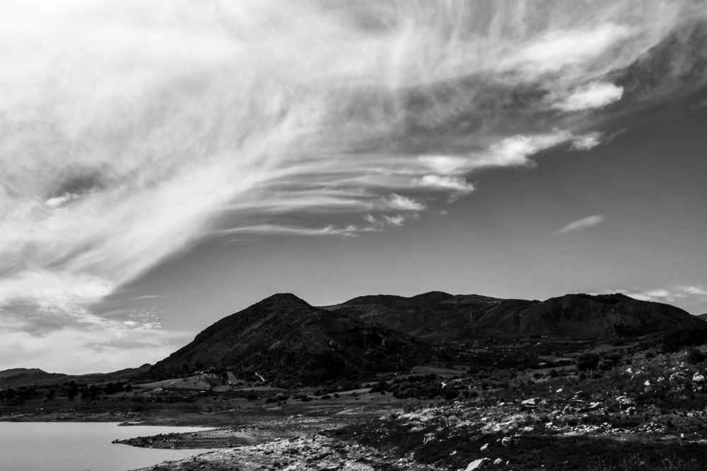 Photograph by Teresa Molinaro