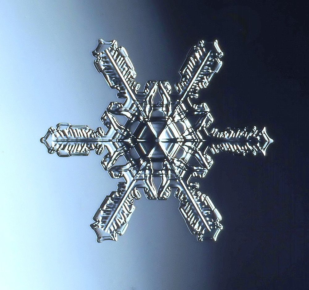 Прошлогодняя снежинка