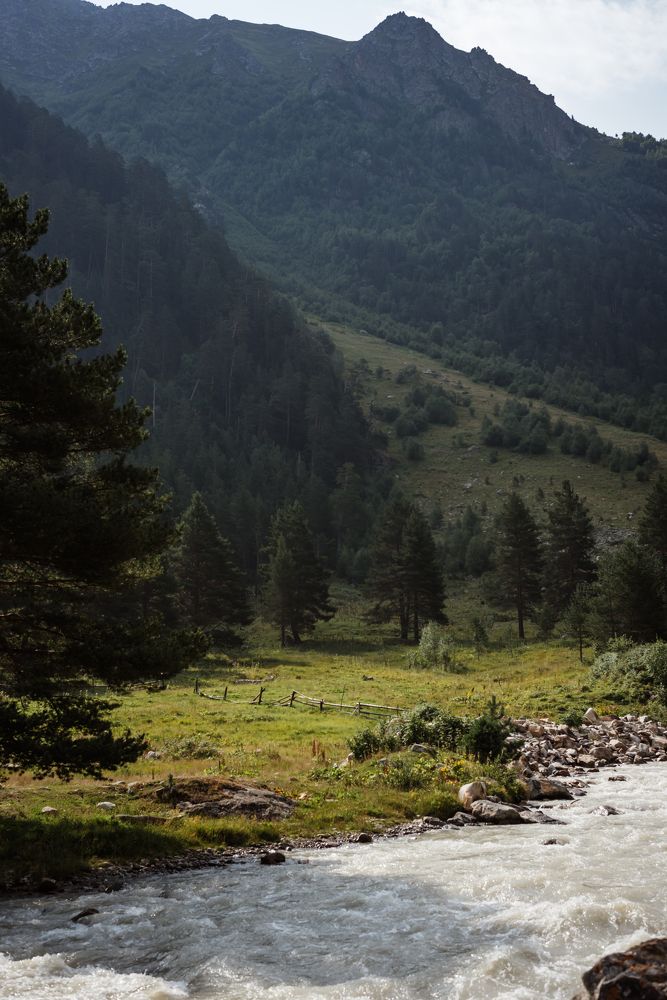 Photograph by Алина Цымбал