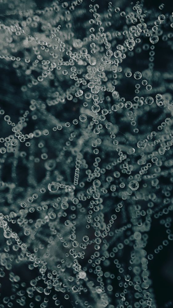 Photograph by Ehsan Fathi