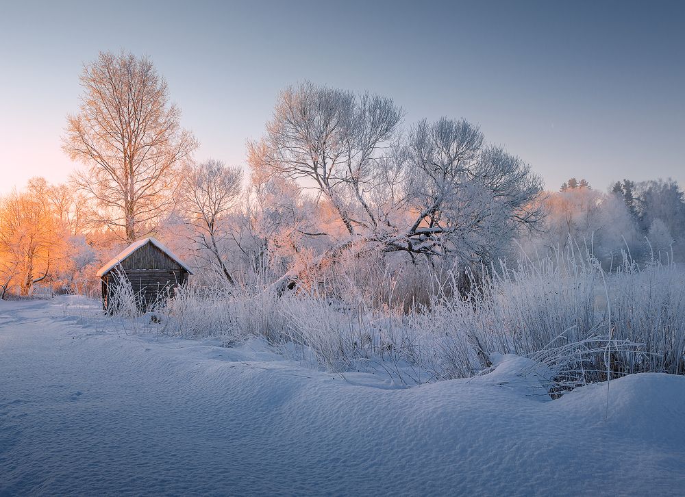 Photograph by Andrew Kuzmin