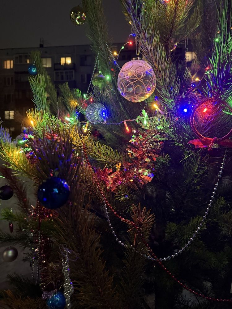 Photograph by Екатерина Амирасланова