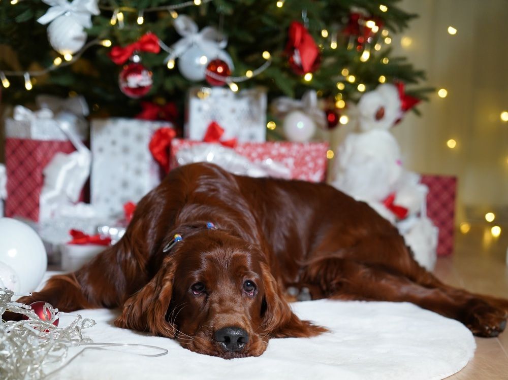 Photograph by Наталья Коржова