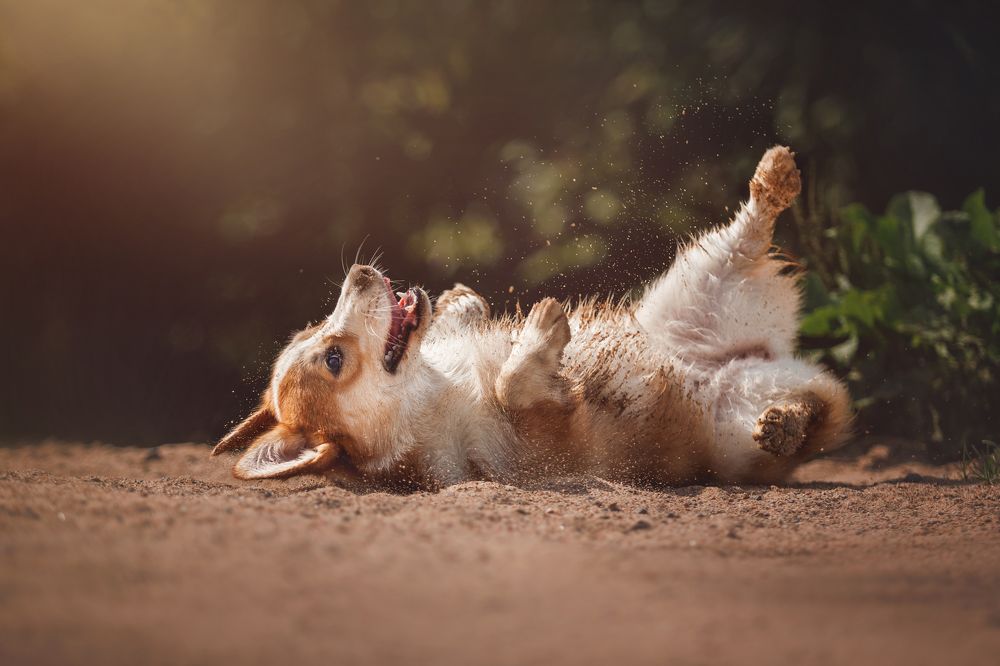 Photograph by Яна Нарбутович