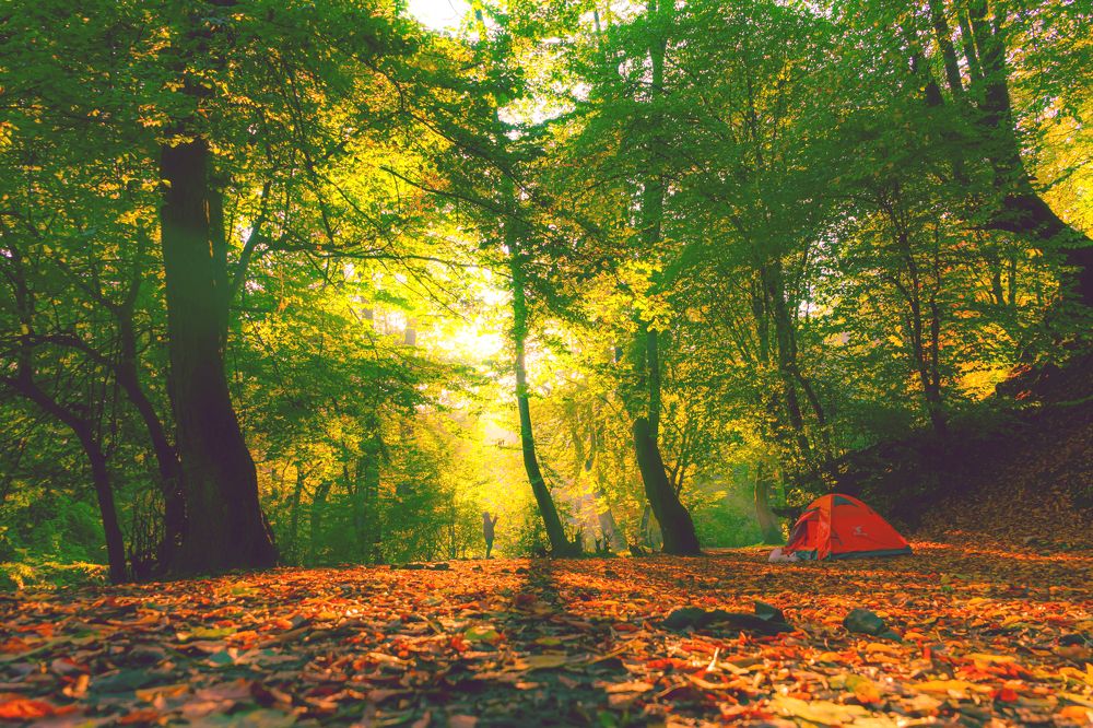 Photograph by Majid Rezaeeanpoor