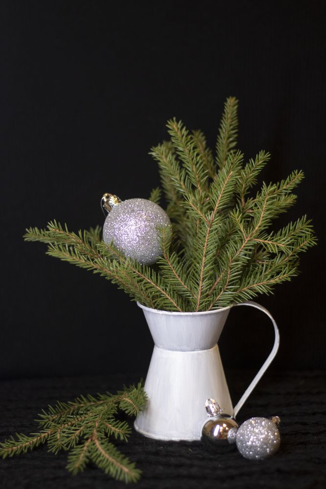 Photograph by Анастасия Трофимовская