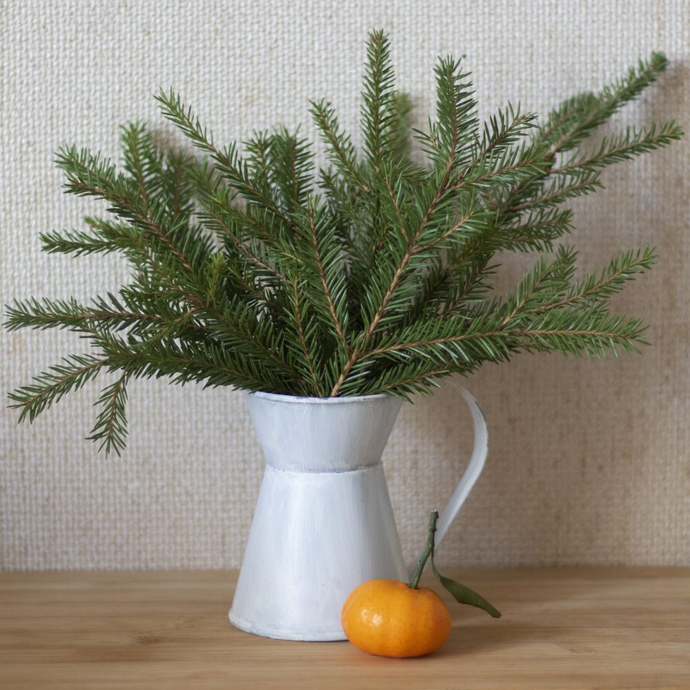 Photograph by Анастасия Трофимовская