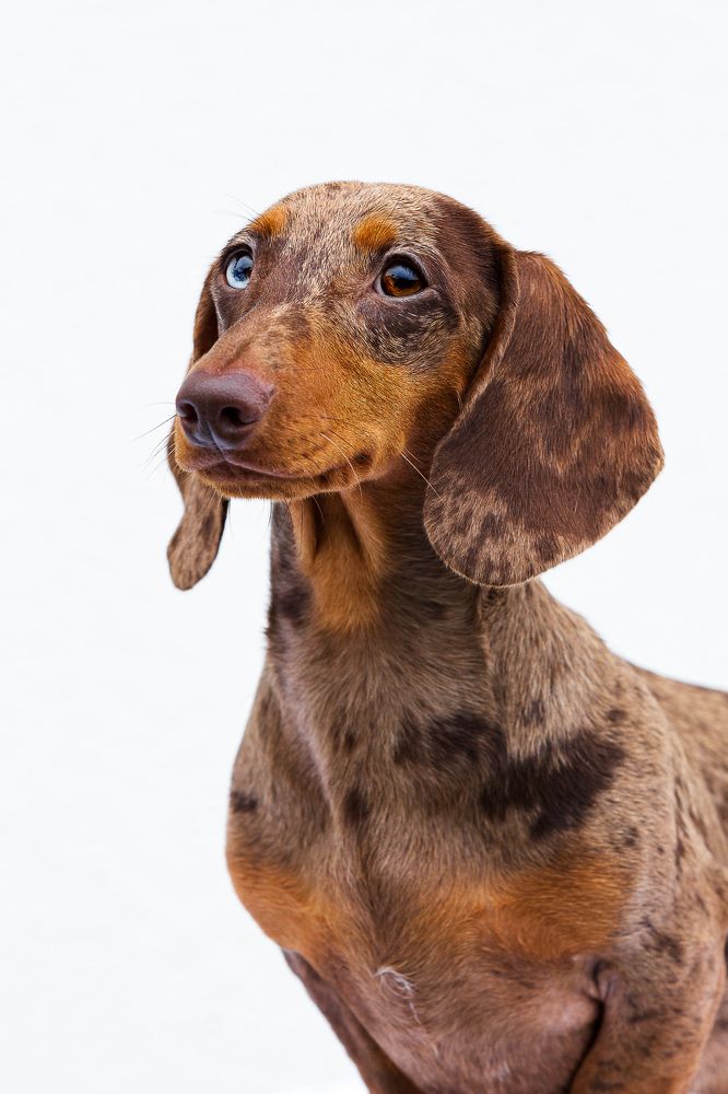 Photograph by Людмила Бандурина