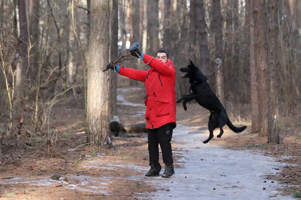 Photograph by Елена Иванкина