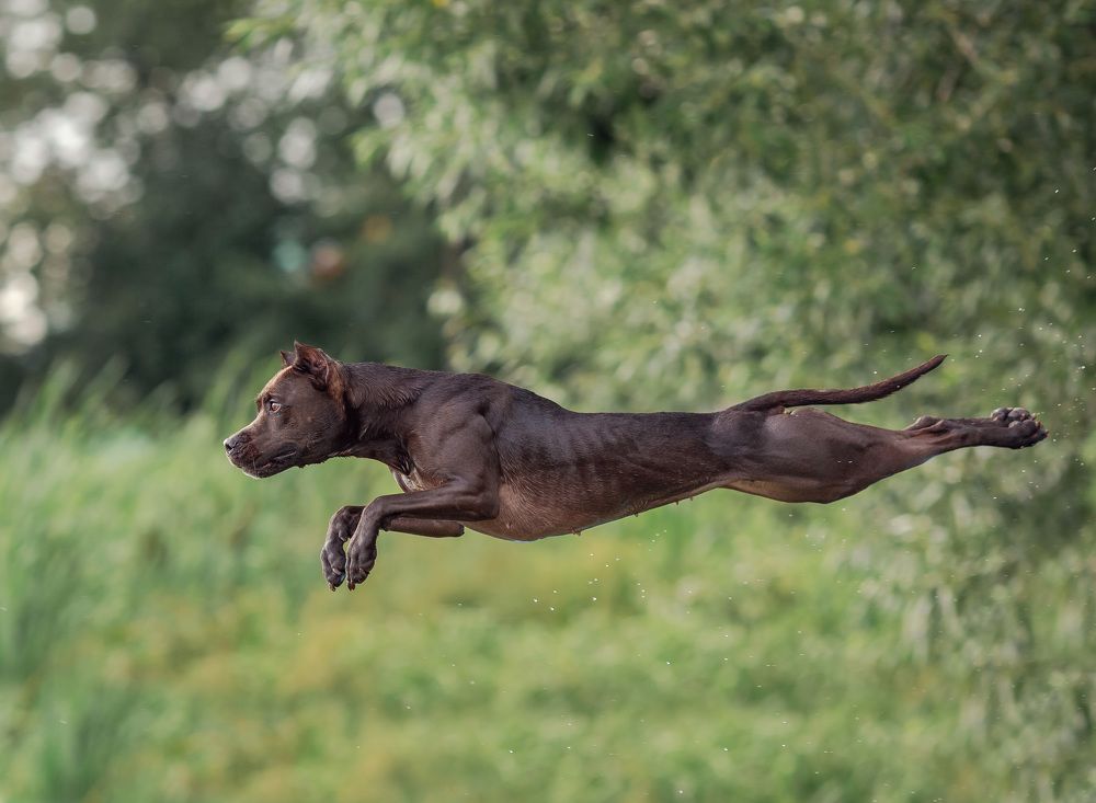 Фотография автора Yulia  Maximova