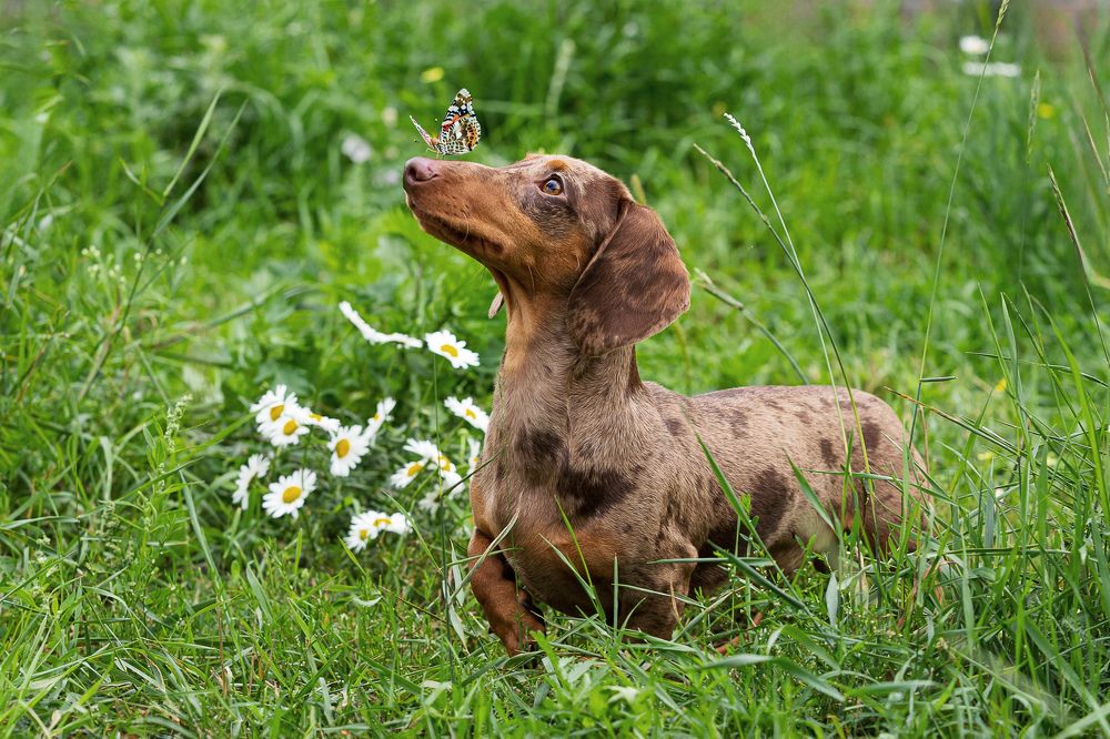 Photograph by Людмила Бандурина