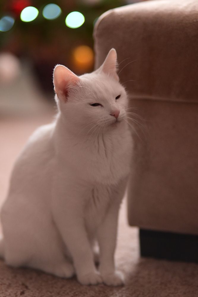 Фотография автора Егор Кондратьев