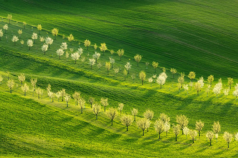 Beauty of South Moravia
