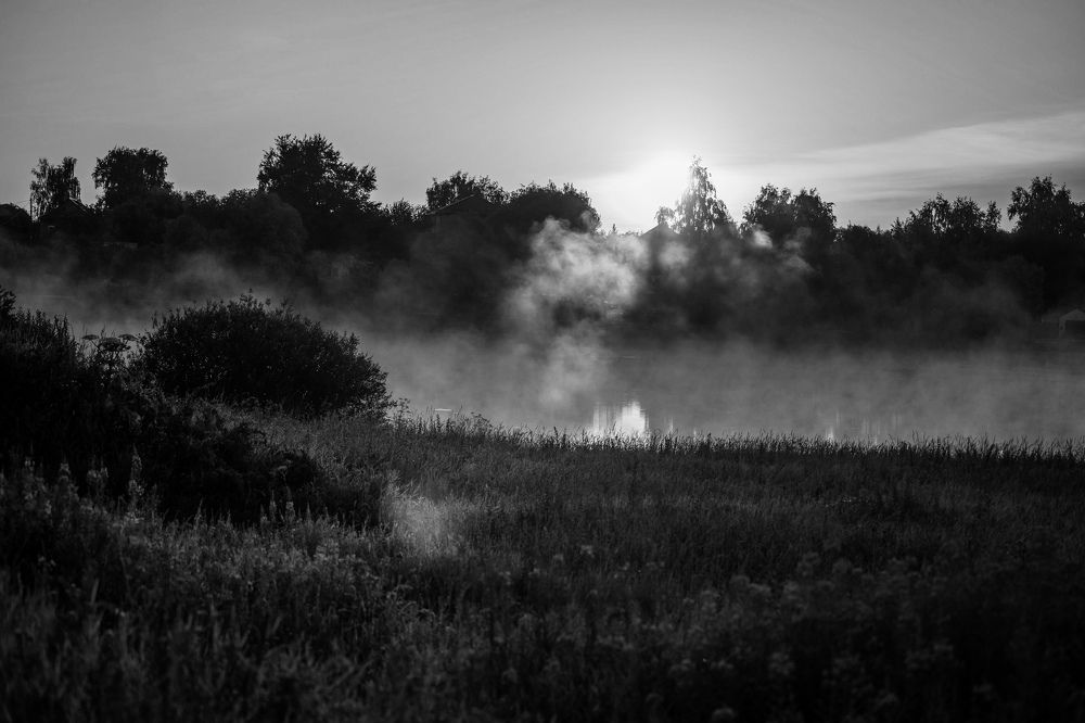 Photograph by Olesya Vladimirova