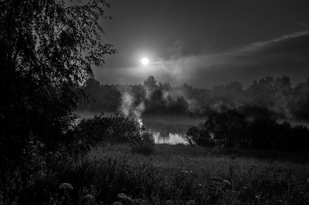 Photograph by Olesya Vladimirova