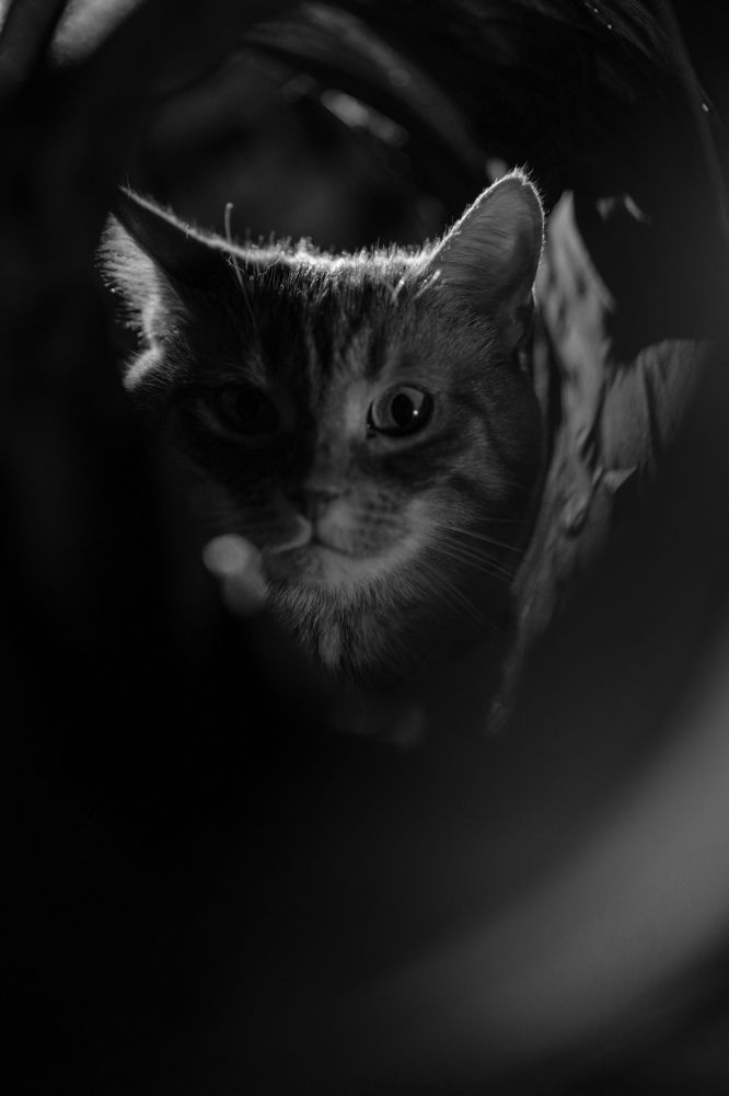 Photograph by Olesya Vladimirova