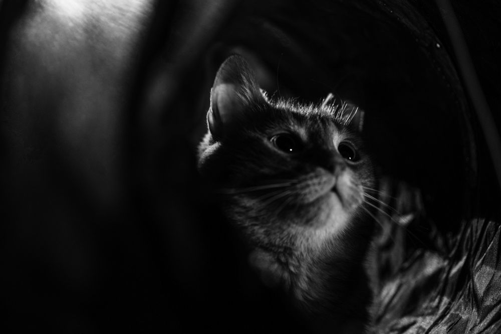 Photograph by Olesya Vladimirova