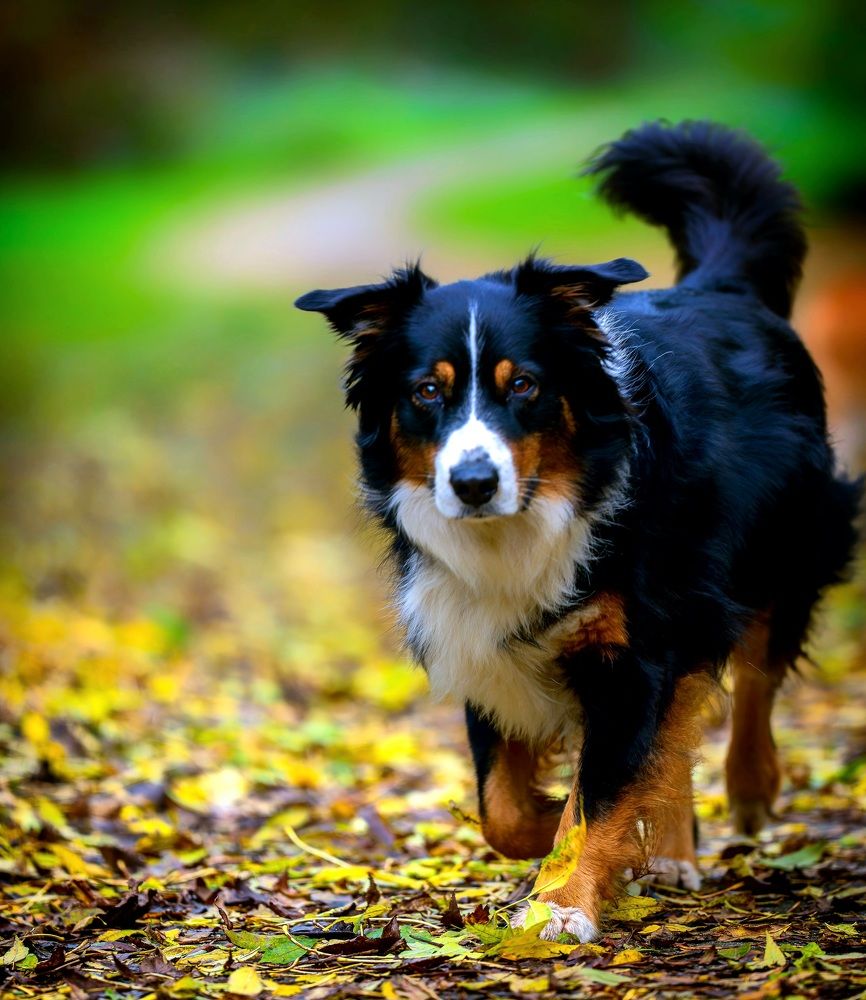 Фотография автора Igor Lukin