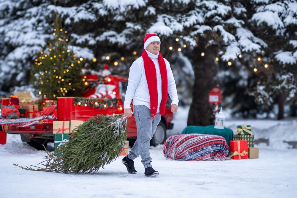 Photograph by Зверева Мария