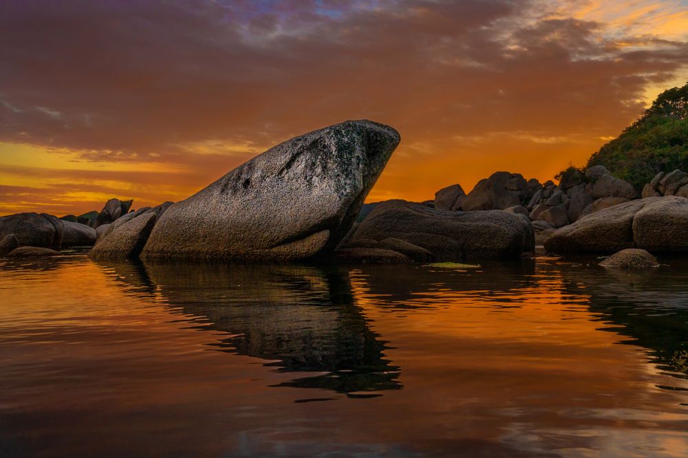 Photograph by Ольга Мусиенко