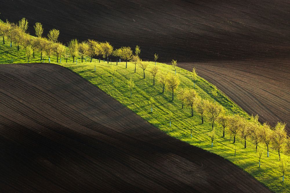 Photograph by Milan Chudoba