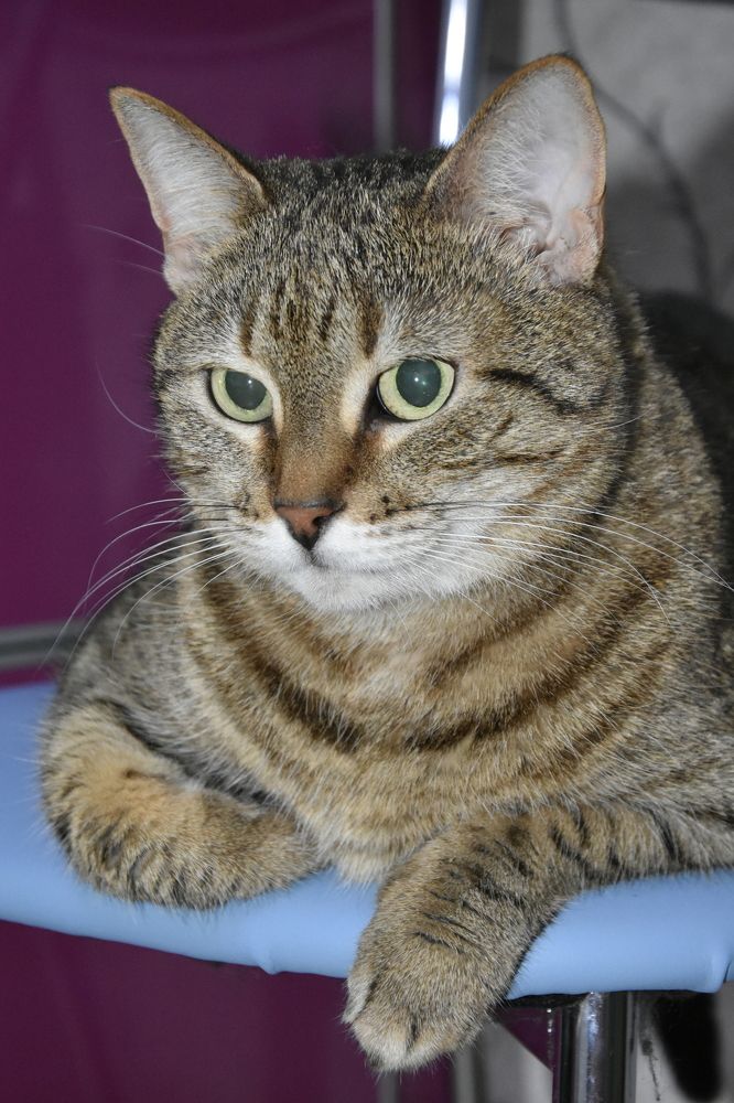 Photograph by Юлия Ю.