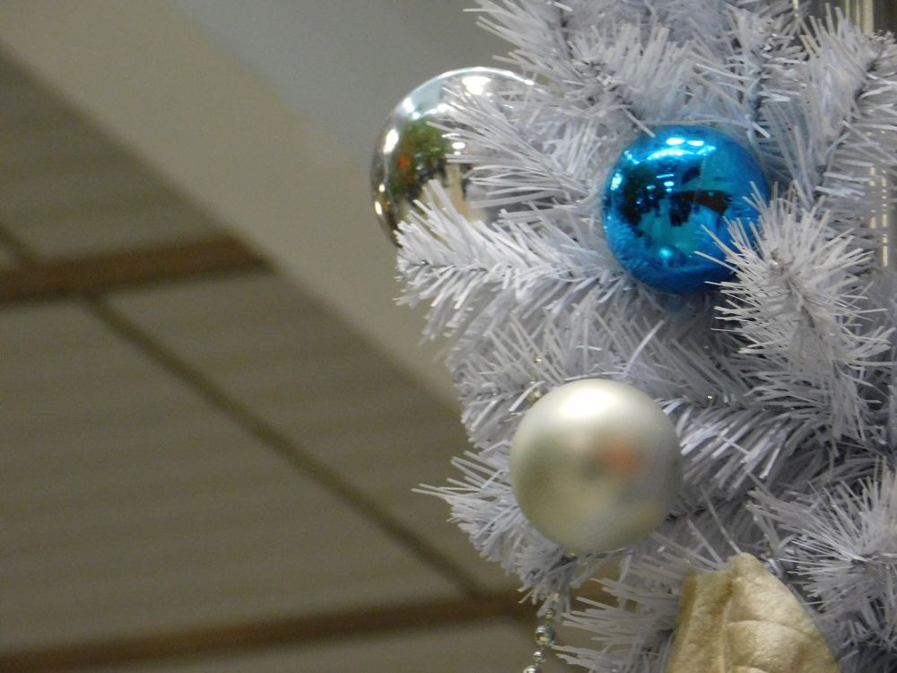 Photograph by Aliaksei Sauko