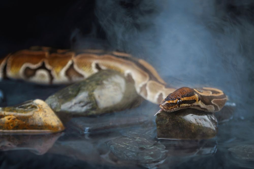 Photograph by Зубкова Юлия