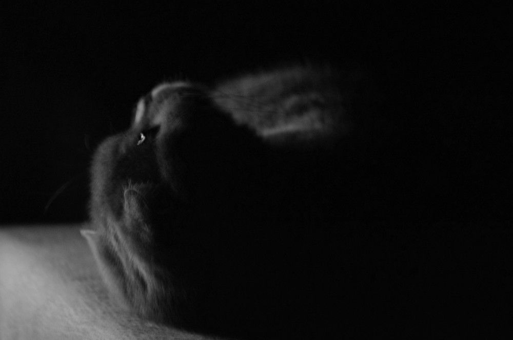 Photograph by Ольга Шевцова