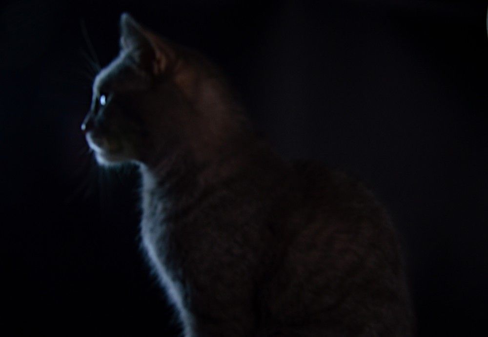 Photograph by Ольга Шевцова