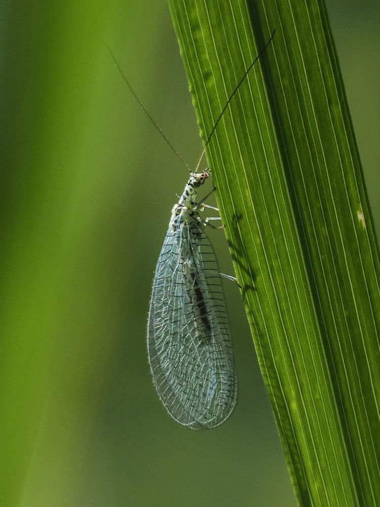 Photograph by Духанин Сергей