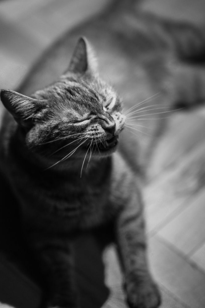 Photograph by Olesya Vladimirova