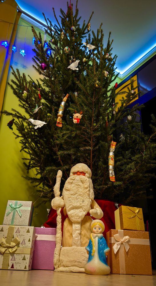 Фотография автора Elena Ku