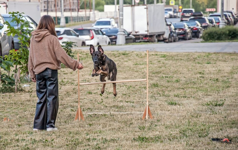 Photograph by Валерий Клейменов