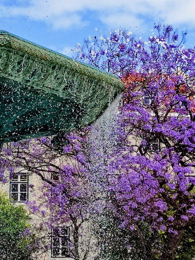 Photograph by Halyna Khomyk