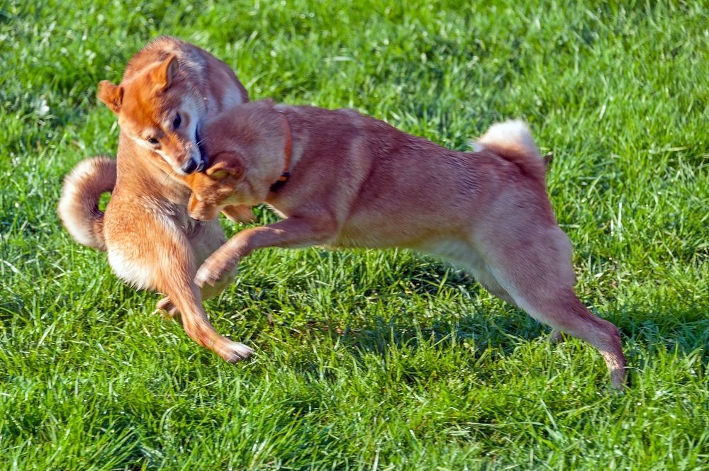 Photograph by Валерий Клейменов