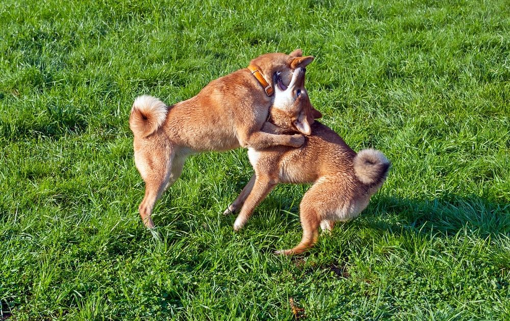 Photograph by Валерий Клейменов