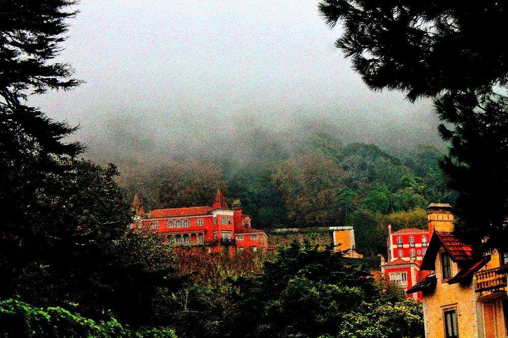 Photograph by Halyna Khomyk