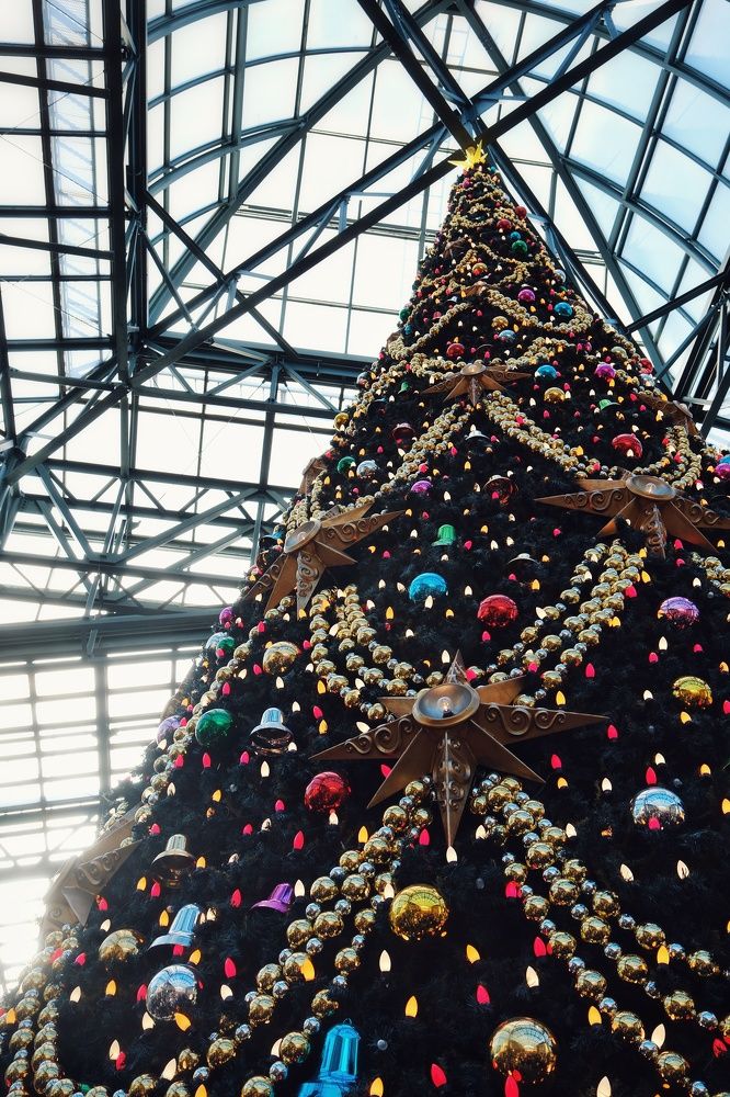 Photograph by Meilany Wijaya