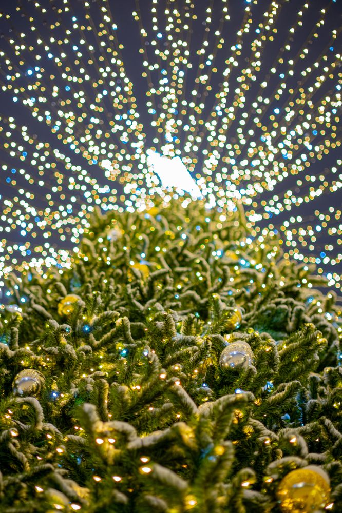 Photograph by Артём BEPTYXA