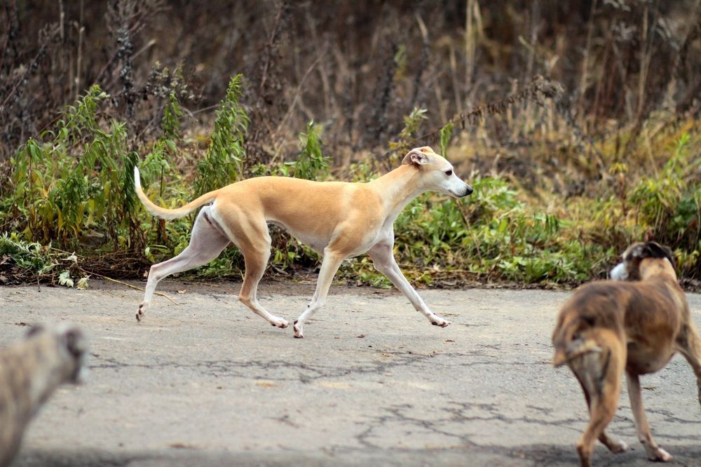 Photograph by Татьяна Федченко