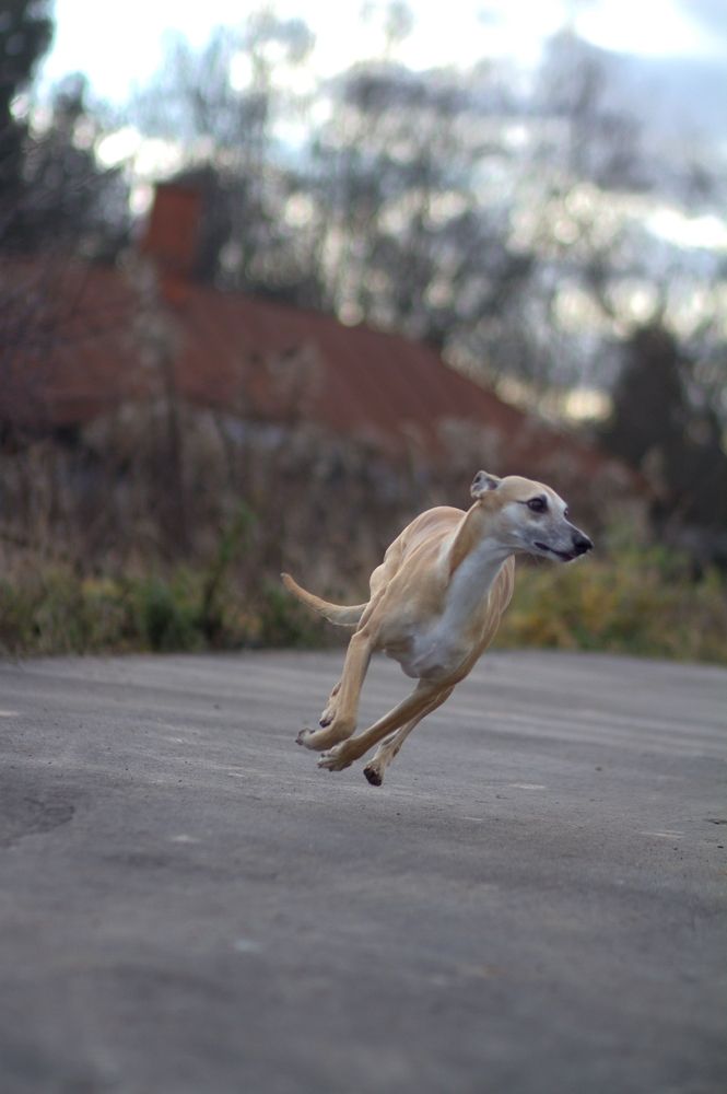 Photograph by Татьяна Федченко