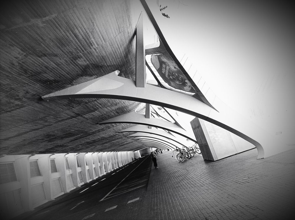 Фотография автора Lija Mežecka