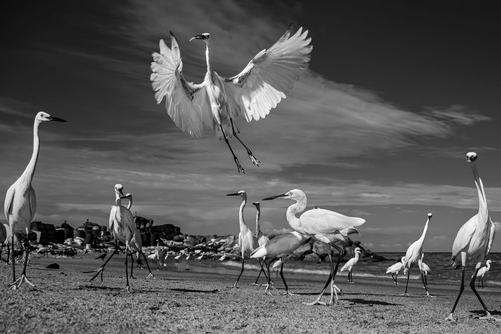 Photograph by Shehan Dondeenu