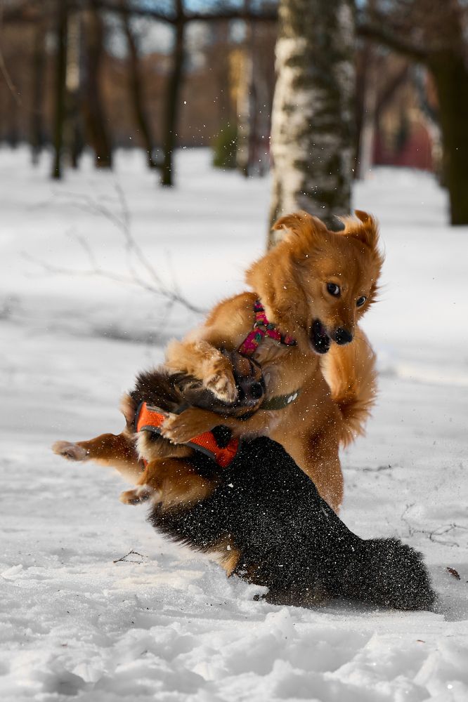 Photograph by Валерия Гуртовая
