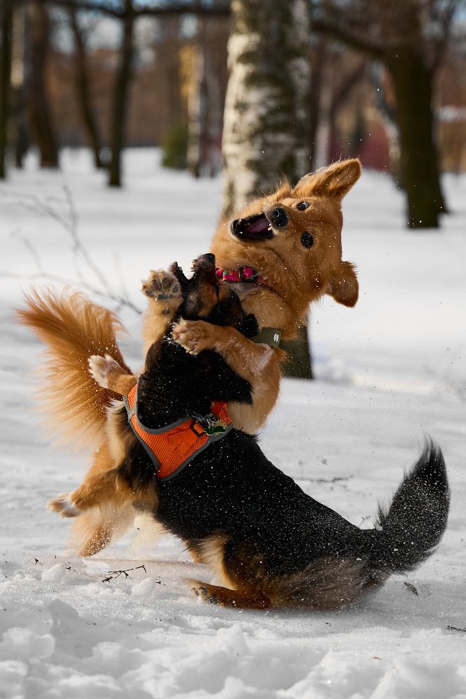 Photograph by Валерия Гуртовая