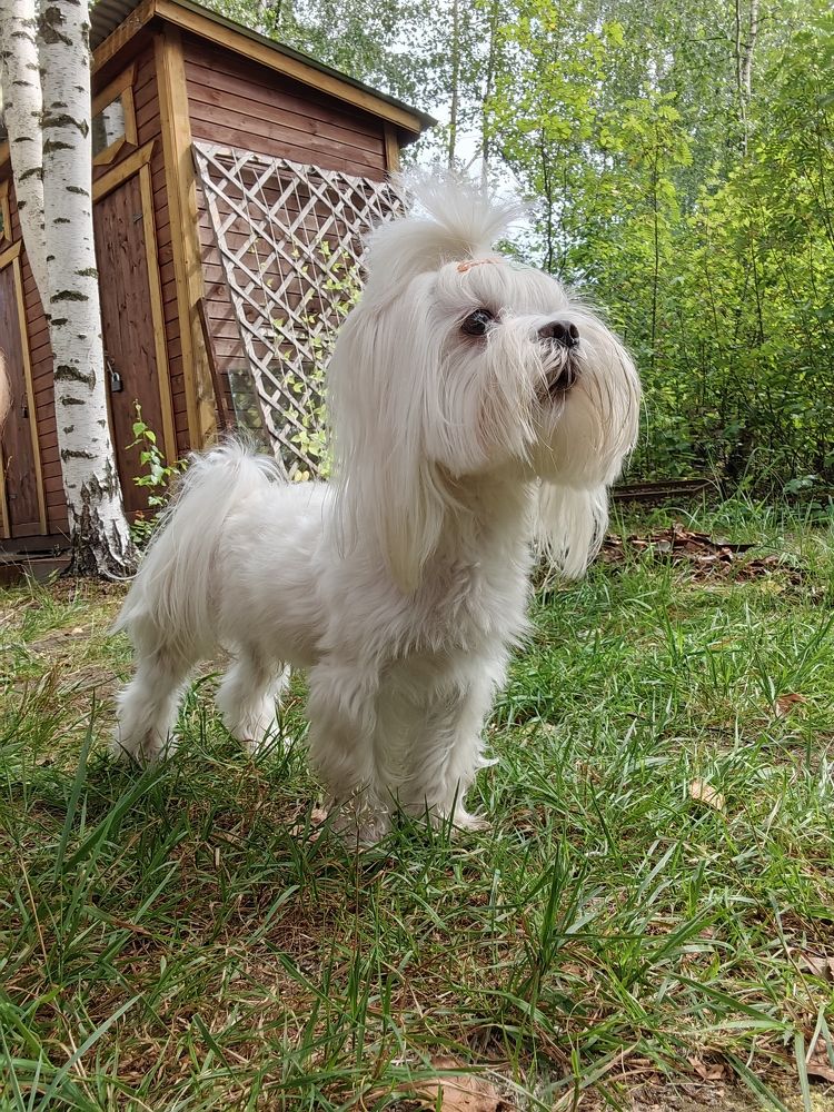 Фотография автора Olga Golubkova