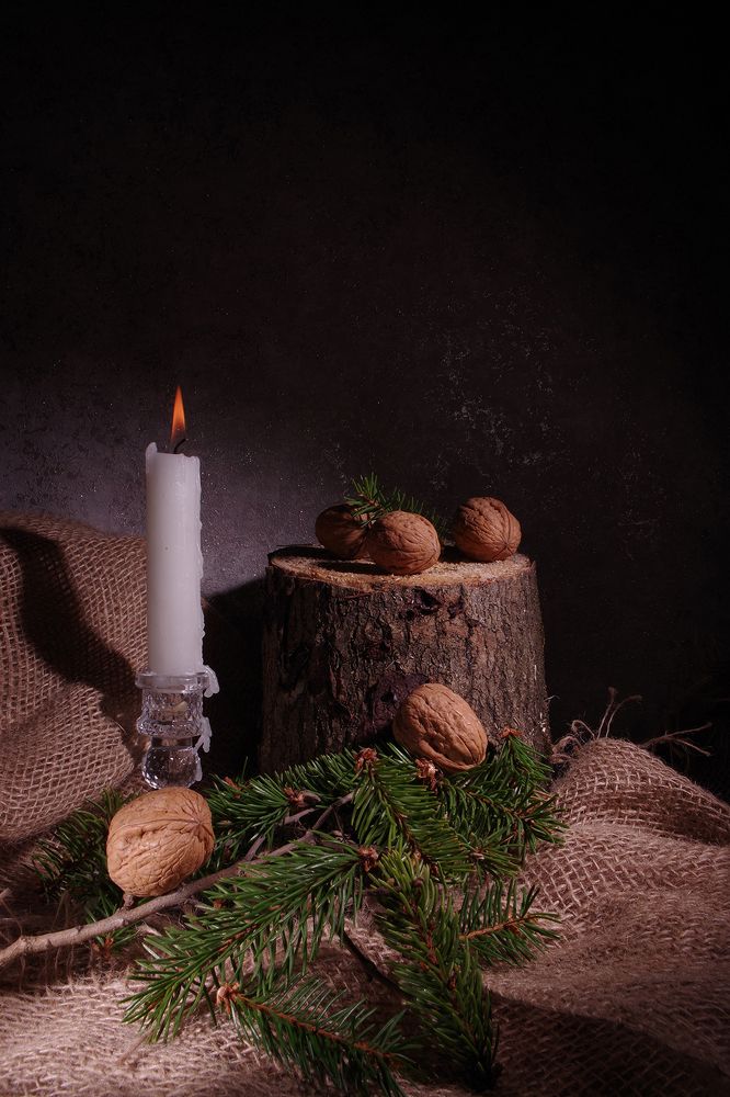 Photograph by Бурикова Екатерина